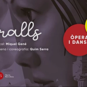 Portada del cop d'ull al projecte educatiu Miralls