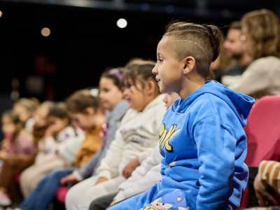 Element 5 de la galeria