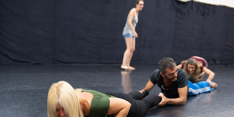 Sessió formativa per a docents sobre dansa teatre